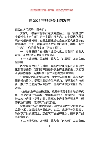 在2025年务虚会上的发言