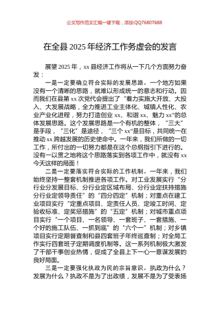 在全县2025年经济工作务虚会的发言