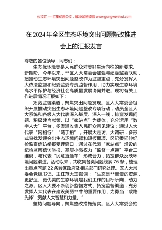 在2024年全区生态环境突出问题整改推进会上的汇报发言 (2)