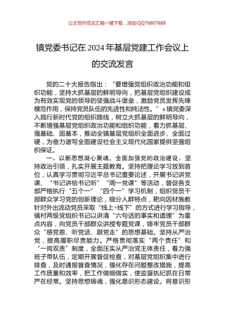 镇党委书记在2024年基层党建工作会议上的交流发言