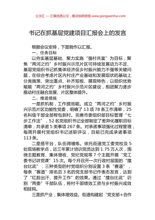 书记在抓基层党建项目汇报会上的发言