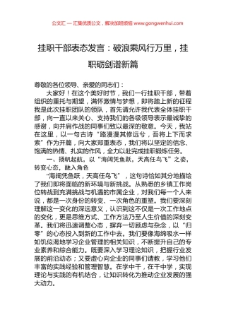 挂职干部表态发言：破浪乘风行万里，挂职砺剑谱新篇 (2)
