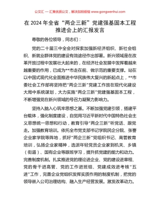 在2024年全省“两企三新”党建强基固本工程推进会上的汇报发言