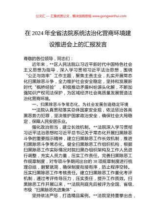 在2024年全省法院系统法治化营商环境建设推进会上的汇报发言