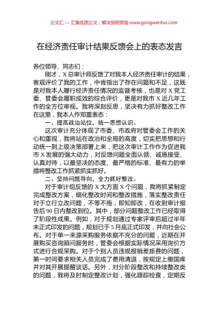 在经济责任审计结果反馈会上的表态发言 (2)