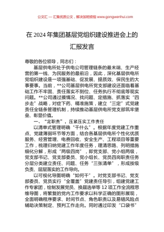 在2024年集团基层党组织建设推进会上的汇报发言