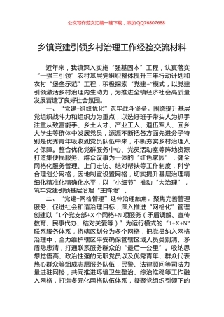 乡镇党建引领乡村治理工作经验交流材料