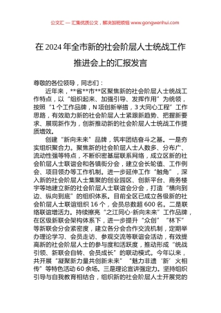 在2024年全市新的社会阶层人士统战工作推进会上的汇报发言