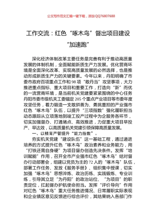 工作交流：红色“啄木鸟”督出项目建设“加速跑”