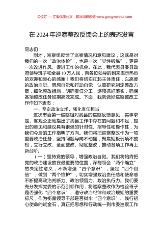在2024年巡察整改反馈会上的表态发言 (2)