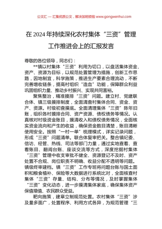 在2024年持续深化农村集体“三资”管理工作推进会上的汇报发言 (2)