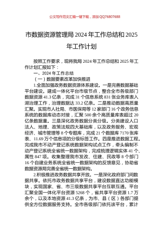 市数据资源管理局2024年工作总结和2025年工作计划
