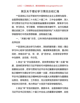 某区关于理论学习情况总结汇报
