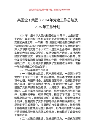 某国企（集团）2024年党建工作总结及2025年工作计划