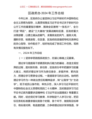 区政府办2024年工作总结