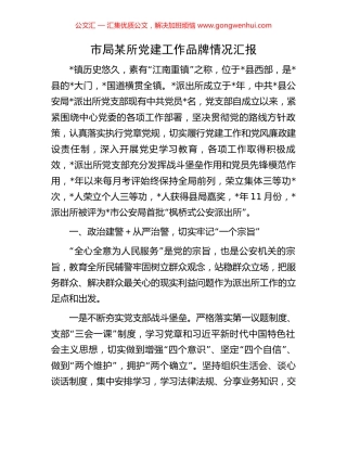 市局某所党建工作品牌情况汇报