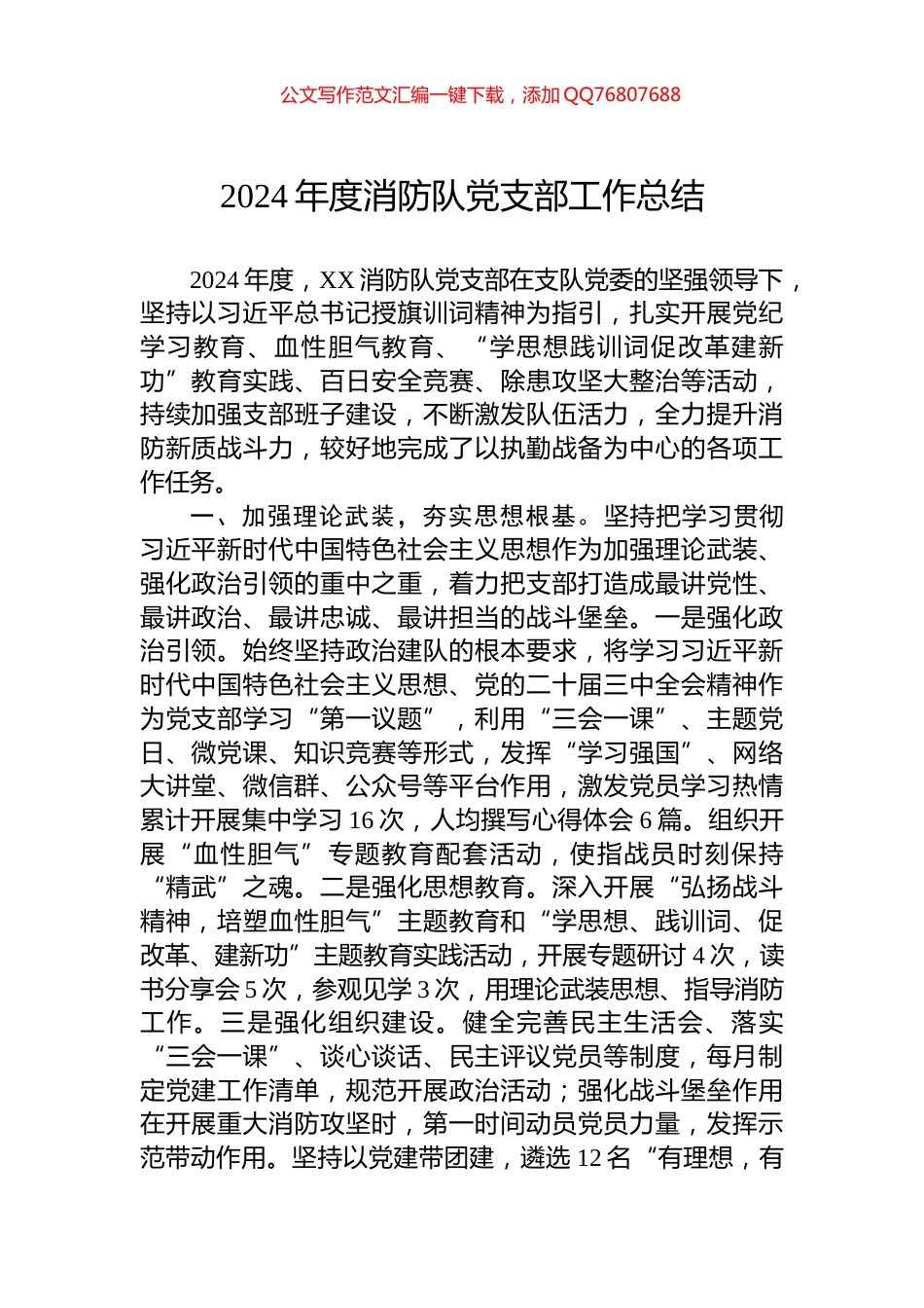 2024年度消防队党支部工作总结_第1页