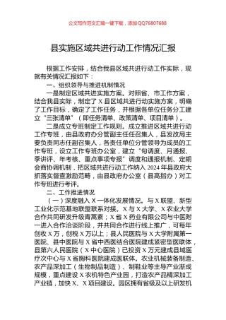 2024年县实施区域共进行动工作情况汇报