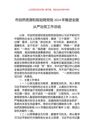 市自然资源和规划局党组2024年推进全面从严治党工作总结