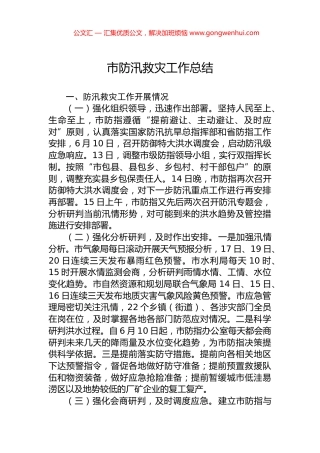 市防汛救灾工作总结