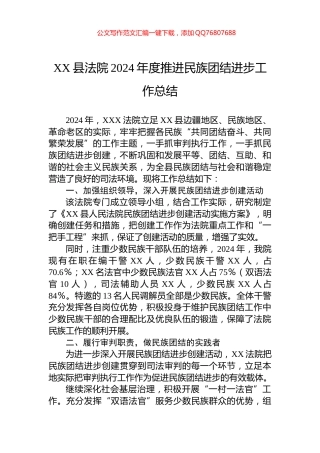 XX县法院2024年度推进民族团结进步工作总结