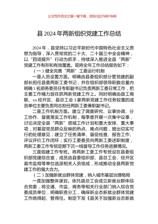 县2024年两新组织党建工作总结