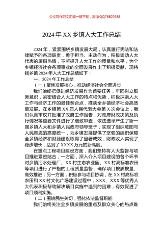 2024年XX乡镇人大工作总结
