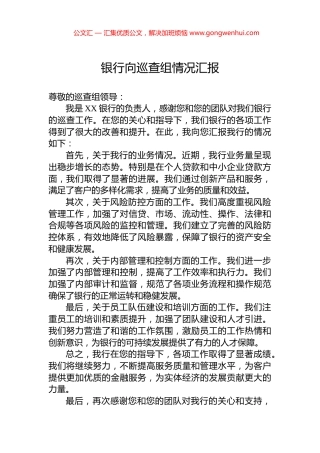 银行向巡查组情况汇报