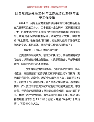 区自然资源分局2024年工作总结及2025年主要工作安排