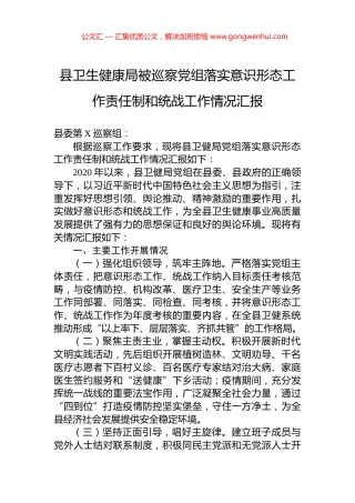 县卫生健康局被巡察党组落实意识形态工作责任制和统战工作情况汇报