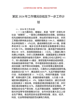 某区2024年工作情况总结及下一步工作计划