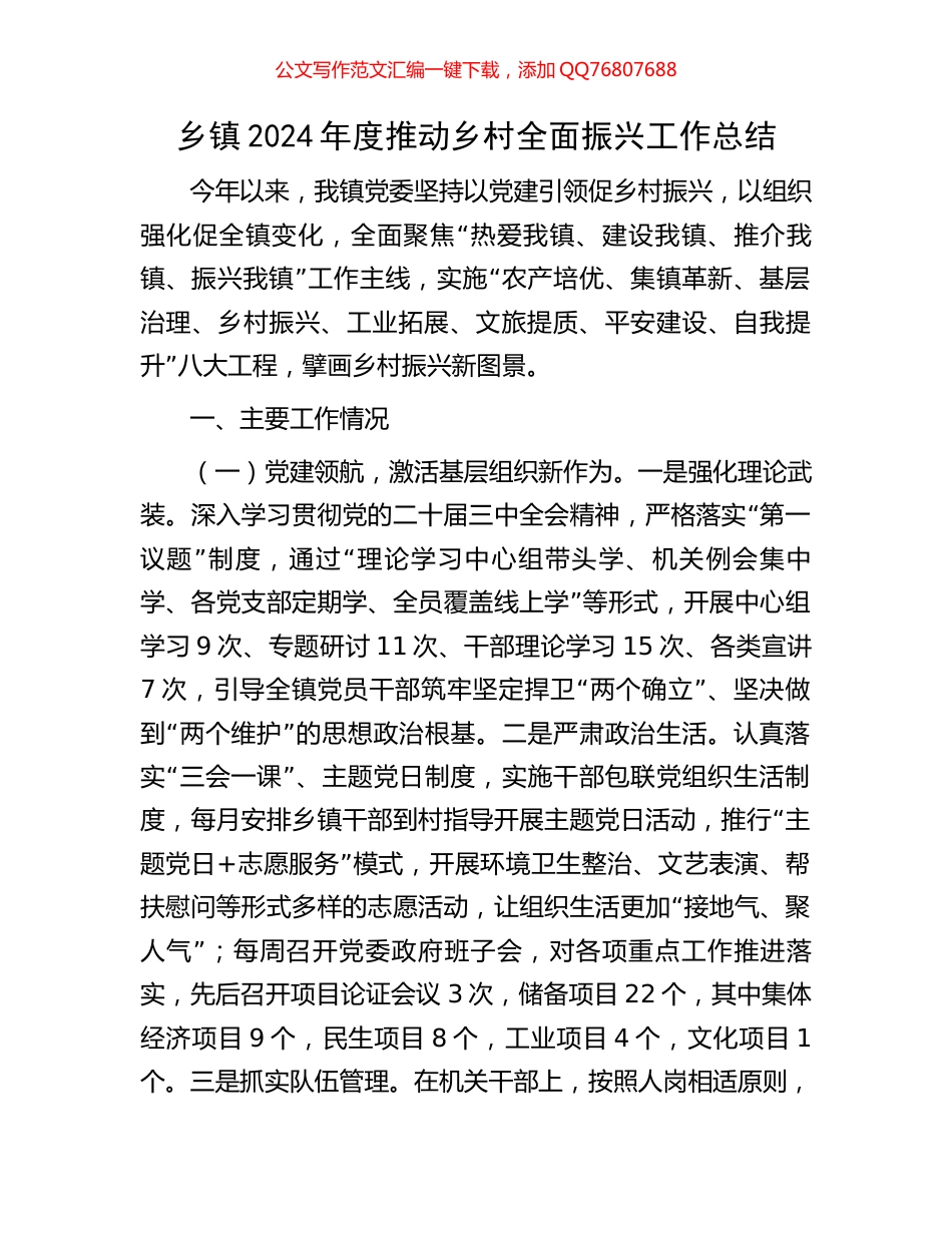 乡镇2024年度推动乡村全面振兴工作总结_第1页