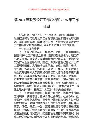 镇2024年政务公开工作总结和2025年工作计划