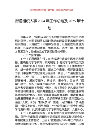 街道组织人事2024年工作总结及2025年计划