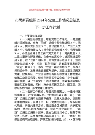 市两新党组织2024年党建工作情况总结及下一步工作计划