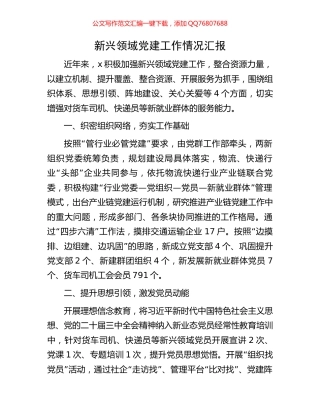 新兴领域党建工作情况汇报