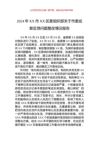 2024年XX市XX区委组织部关于市委巡察反馈问题整改情况报告