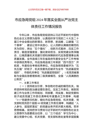 市应急局党组2024年落实全面从严治党主体责任工作情况报告