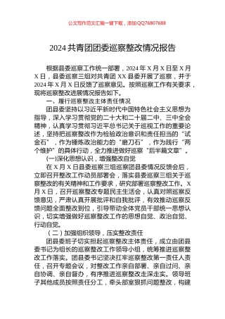 2024共青团团委巡察整改情况报告