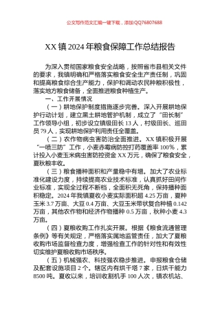 XX镇2024年粮食保障工作总结报告