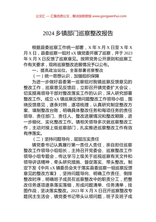 2024乡镇部门巡察整改报告