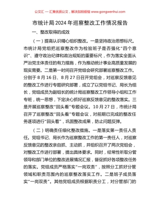 市统计局2024年巡察整改工作情况报告