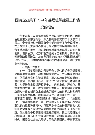 国有企业关于2024年基层组织建设工作情况的报告