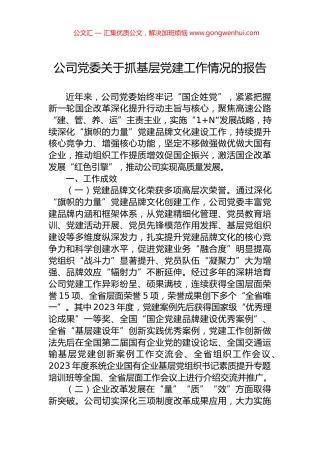 公司党委关于抓基层党建工作情况的报告