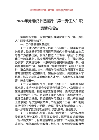 2024年党组织书记履行“第一责任人”职责情况报告