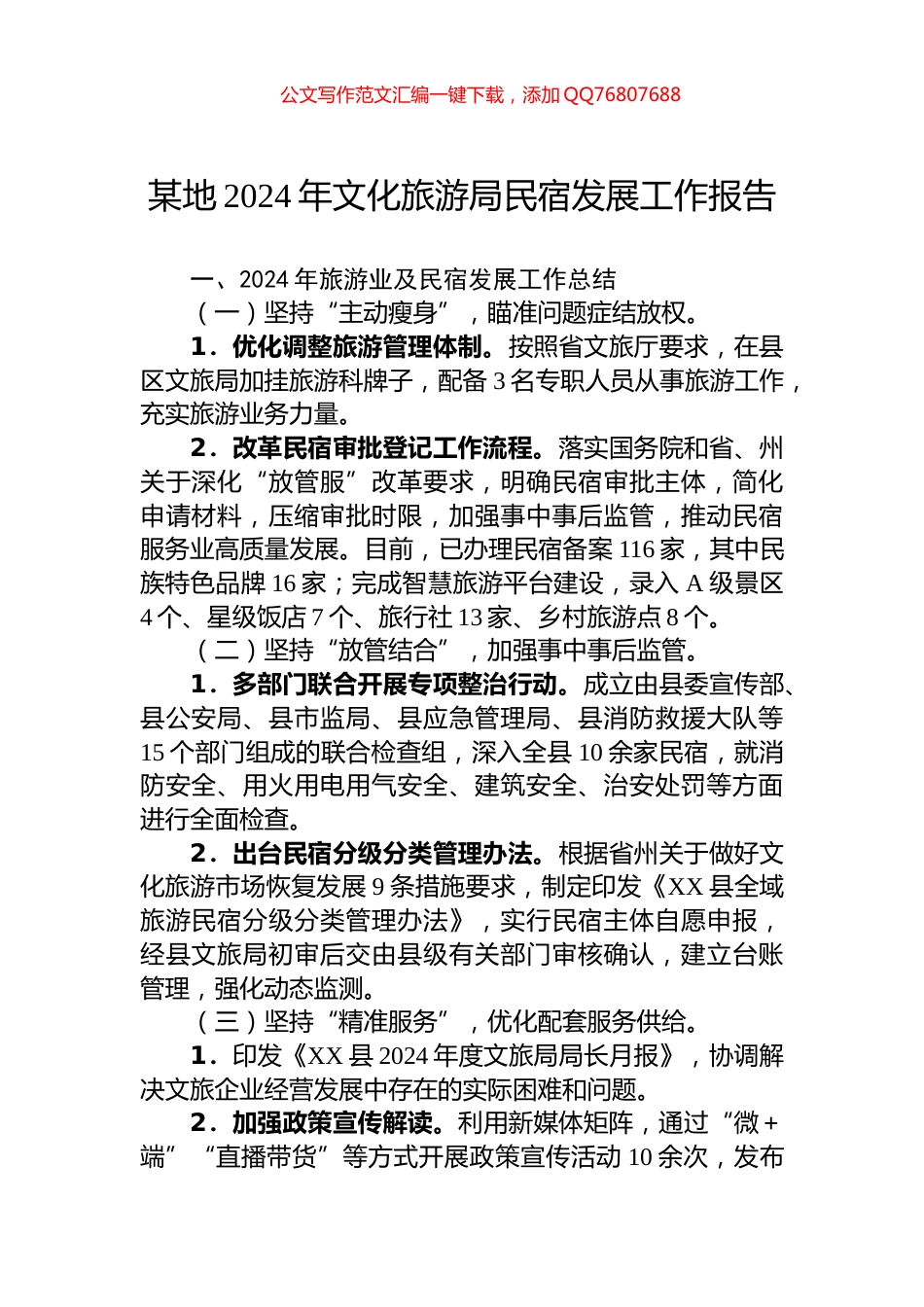 某地2024年文化旅游局民宿发展工作报告_第1页