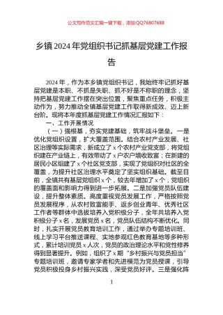 乡镇2024年党组织书记抓基层党建工作报告
