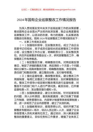 2024年国有企业巡察整改工作情况报告