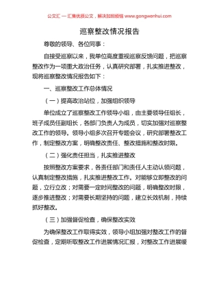 巡察整改情况报告