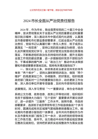 2024市长全面从严治党责任报告